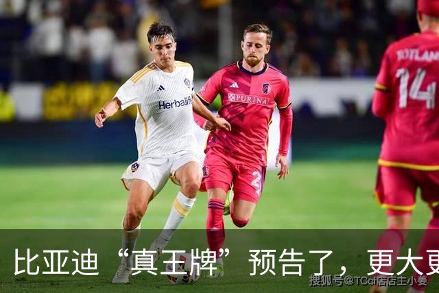 比亚迪“真王牌”预告了，更大更强或7万级！