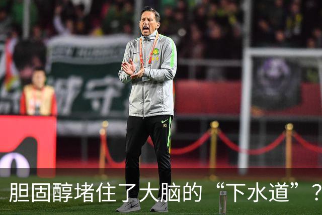 胆固醇堵住了大脑的“下水道”？阿尔茨海默小鼠实验给出线索